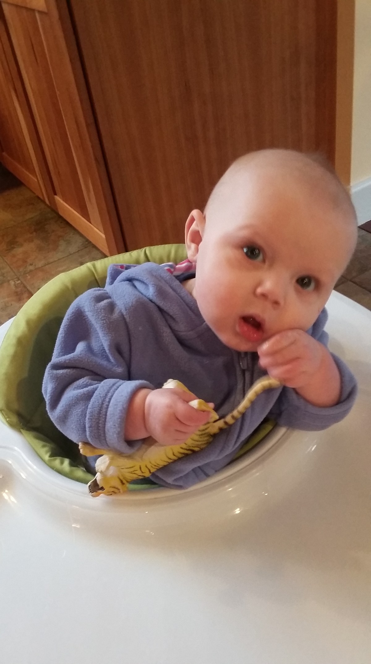 Web Camel Transport&nbsp;3