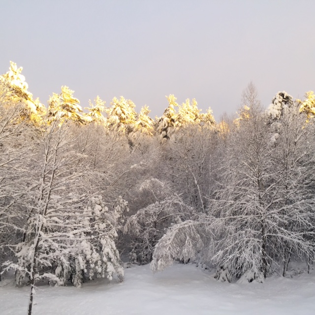 Web Camel Transport&nbsp;5