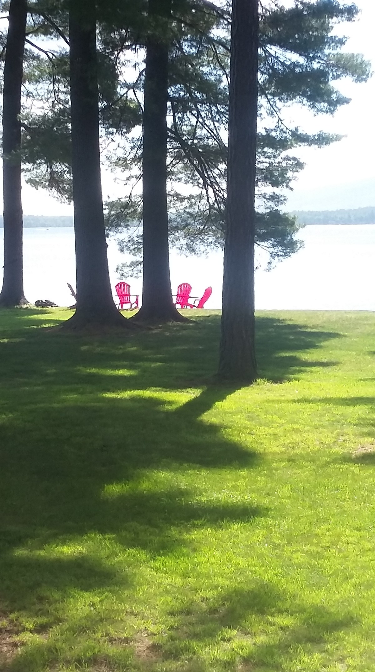 Web Camel Transport&nbsp;31