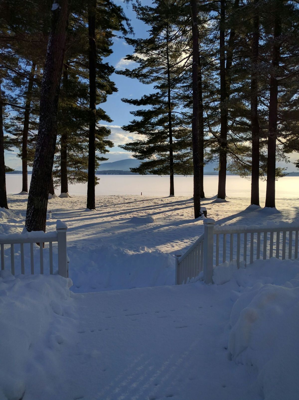 Web Camel Transport&nbsp;38