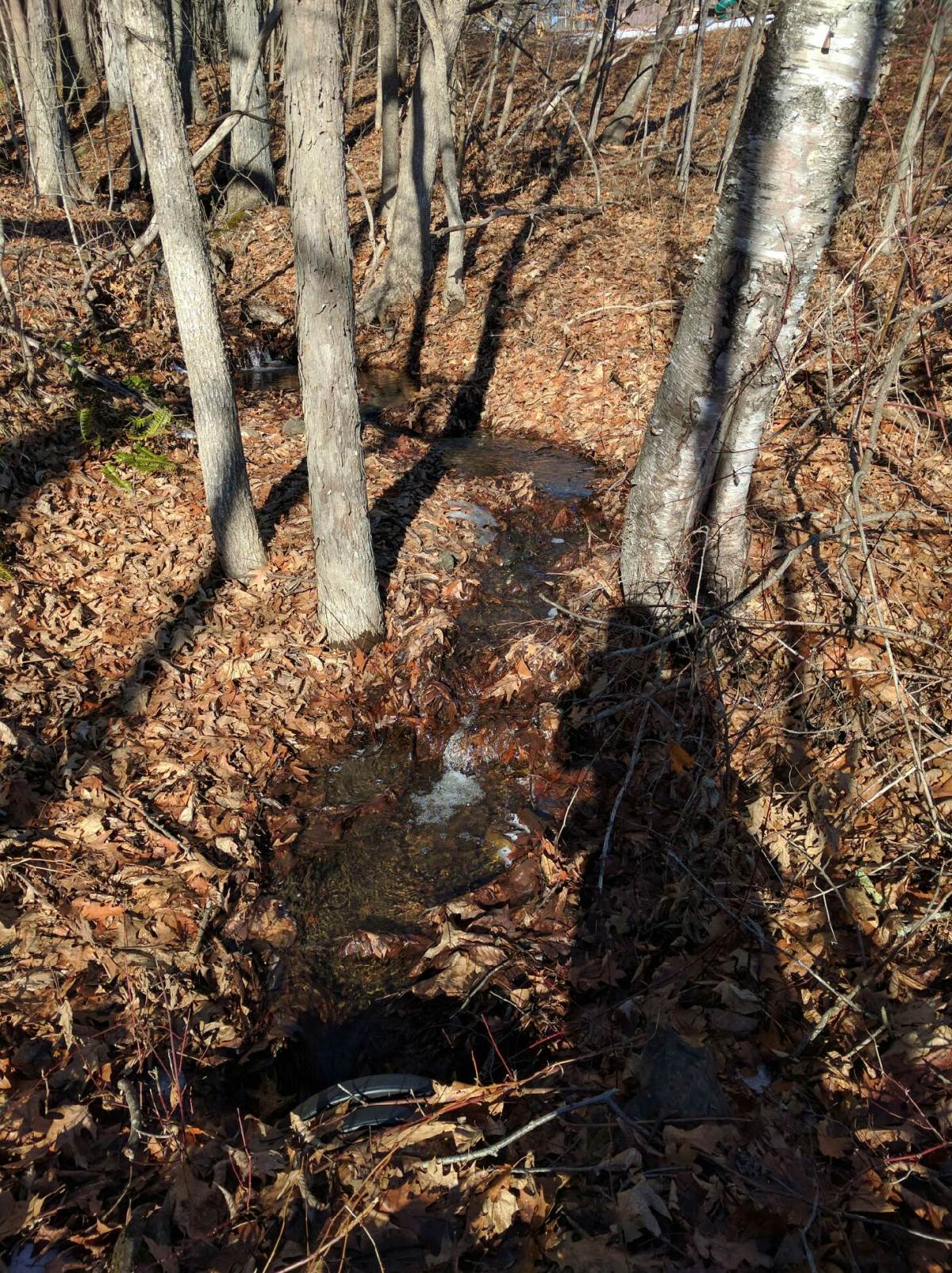 Web Camel Transport&nbsp;39